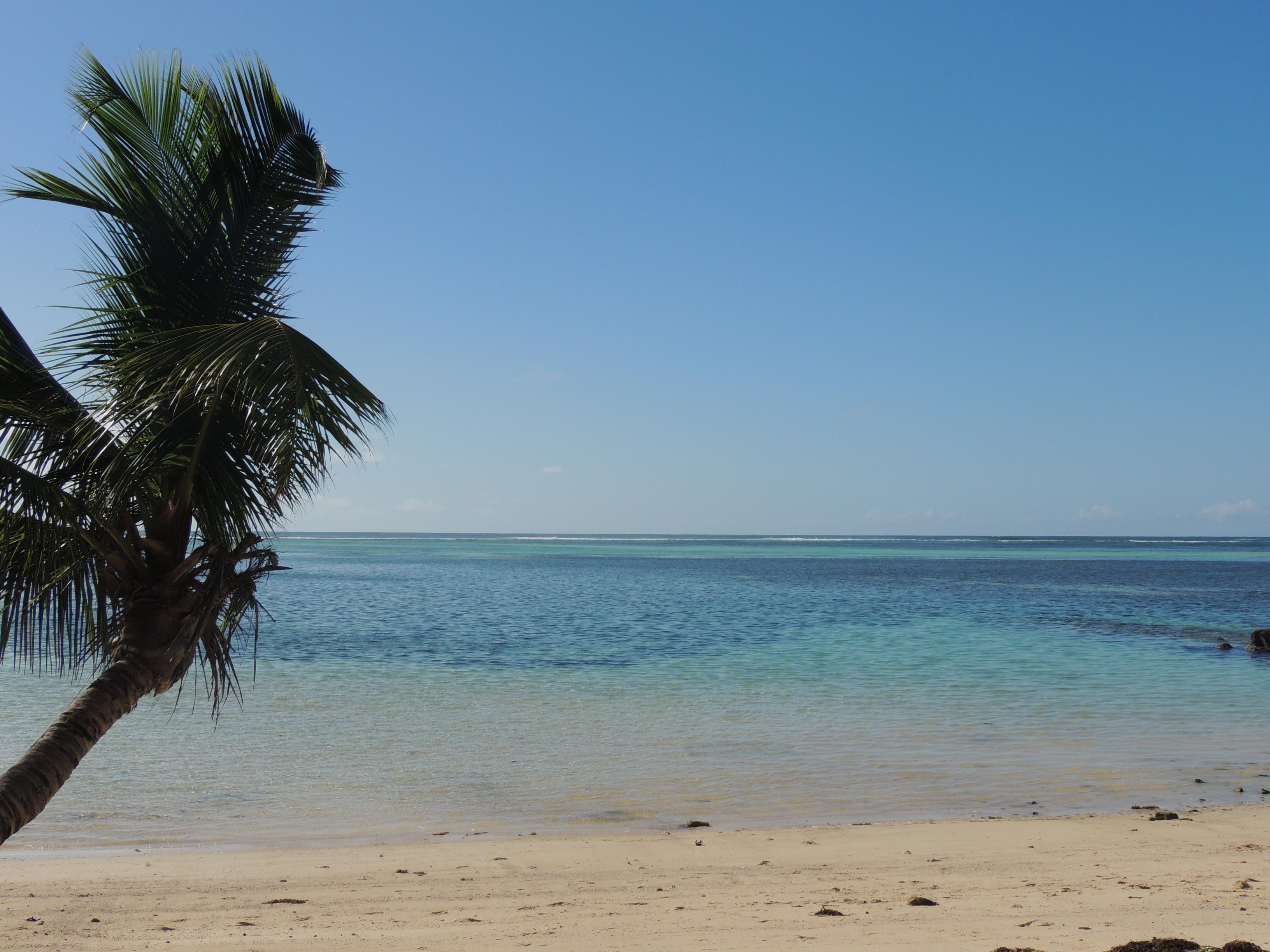 Reef Holiday Apartments Anse aux Pins Eksteriør bilde