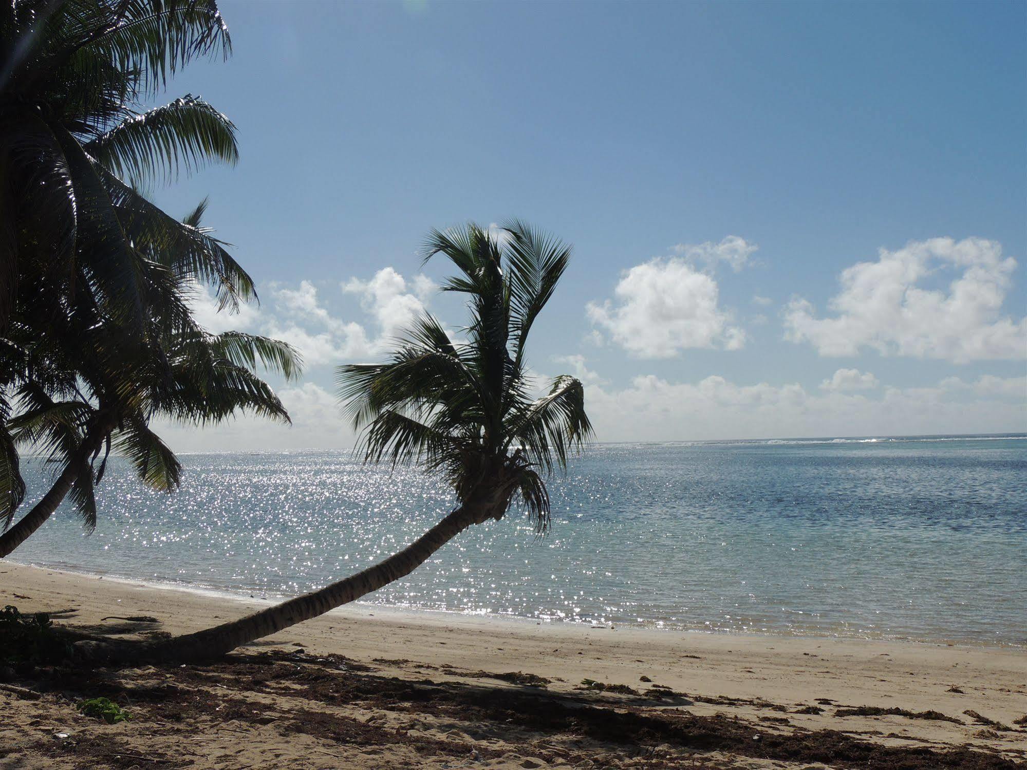 Reef Holiday Apartments Anse aux Pins Eksteriør bilde